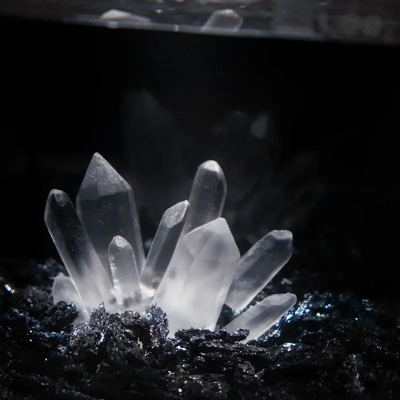 Creative Betta Tank Decor Clea - đánh giá và giá Aquarium Planet