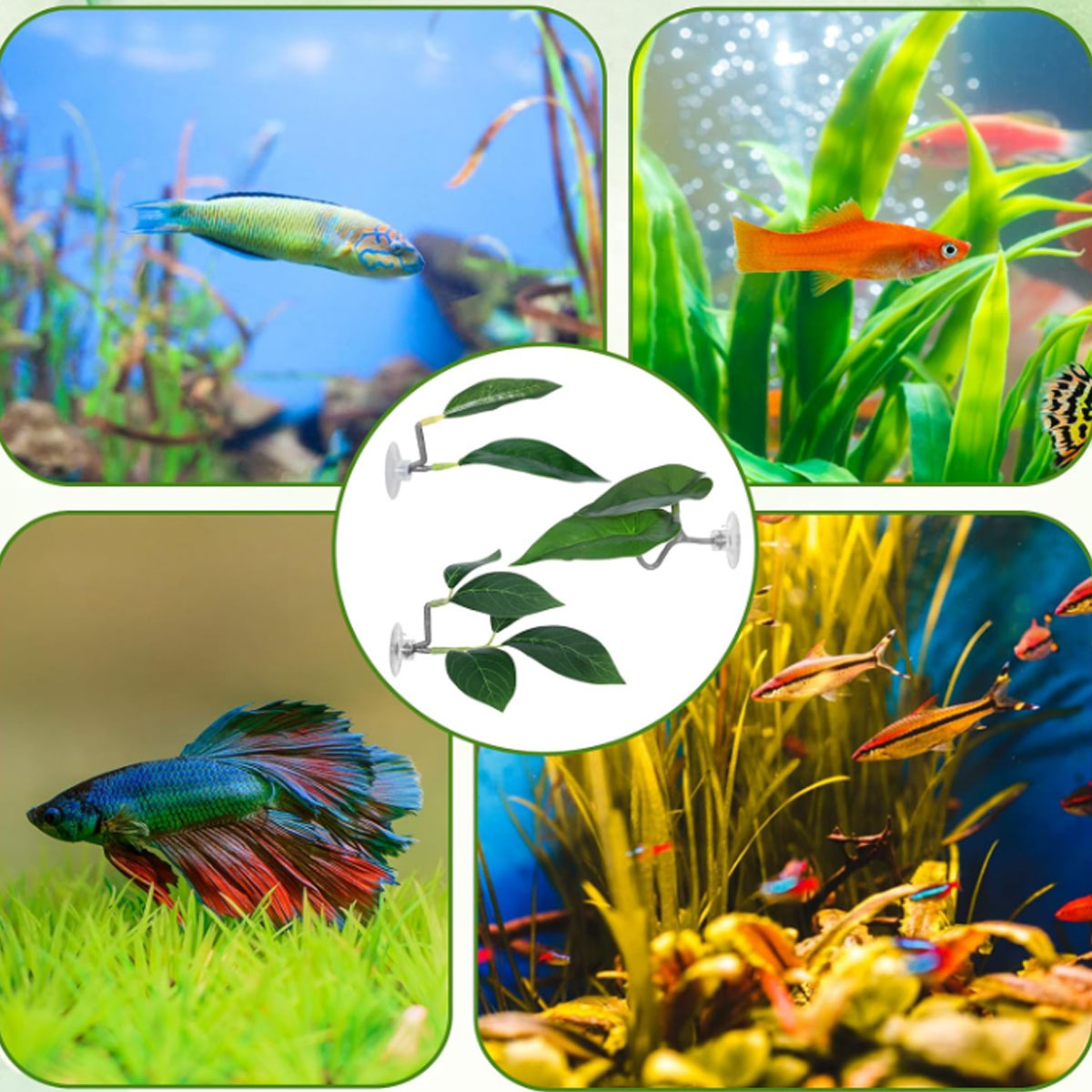 1 PC Betta Fish Hammock Soft A - đánh giá và giá Planted Aquarium For Betta