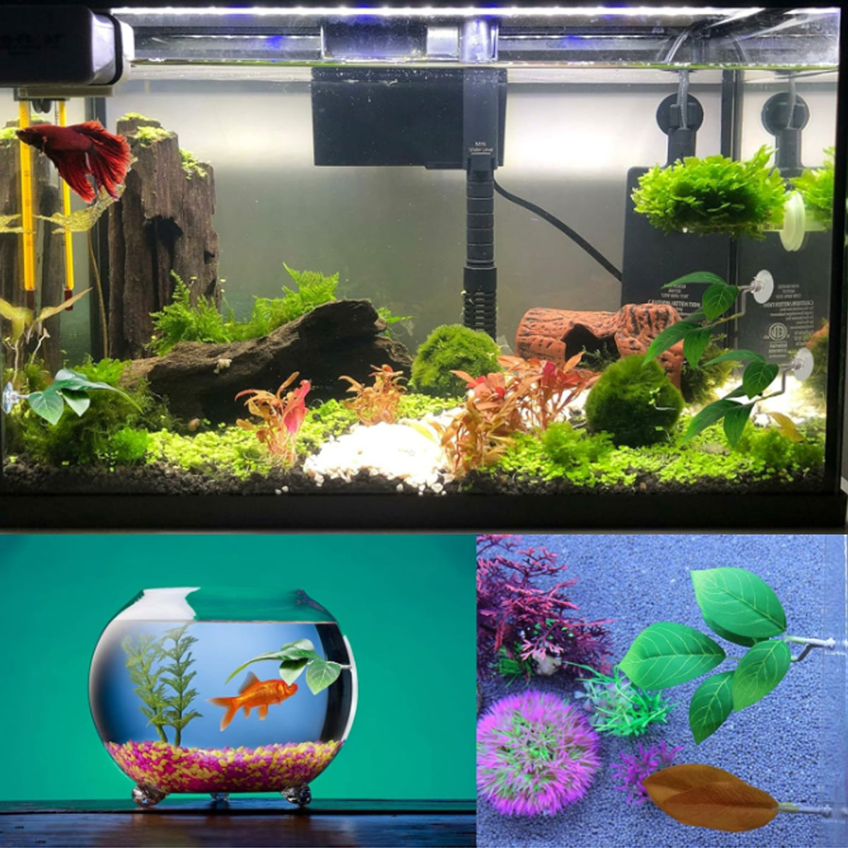 1 PC Betta Fish Hammock Soft A - đánh giá và giá Planted Aquarium For Betta