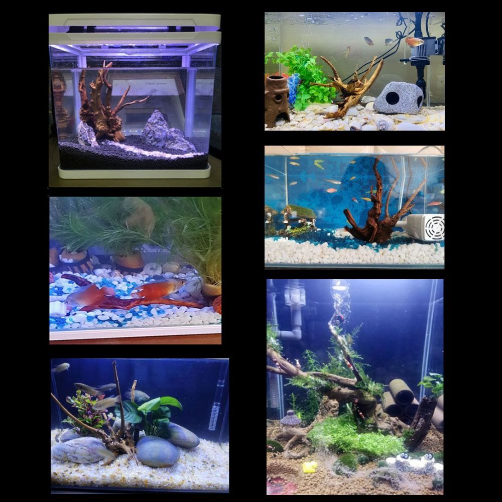 20-25CM Large Aquarium Driftwo - đánh giá và giá Planted Aquarium Bowl