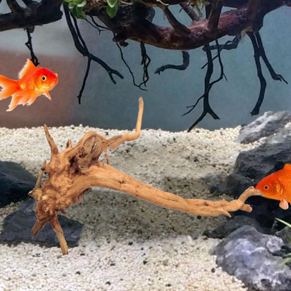 20-25CM Large Aquarium Driftwo - đánh giá và giá Planted Aquarium Bowl