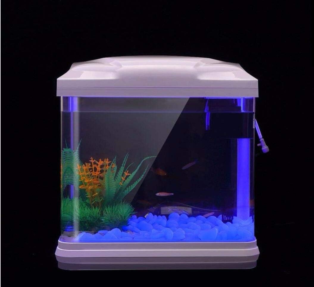 Fish Tank Rocks Glow Blue Pebb - đánh giá và giá Planted Aquarium Parameters