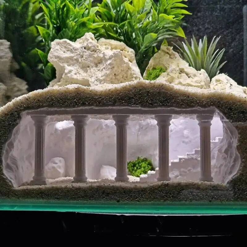 Printed Roman Natural Fish Tan - đánh giá và giá Aquarium Planet