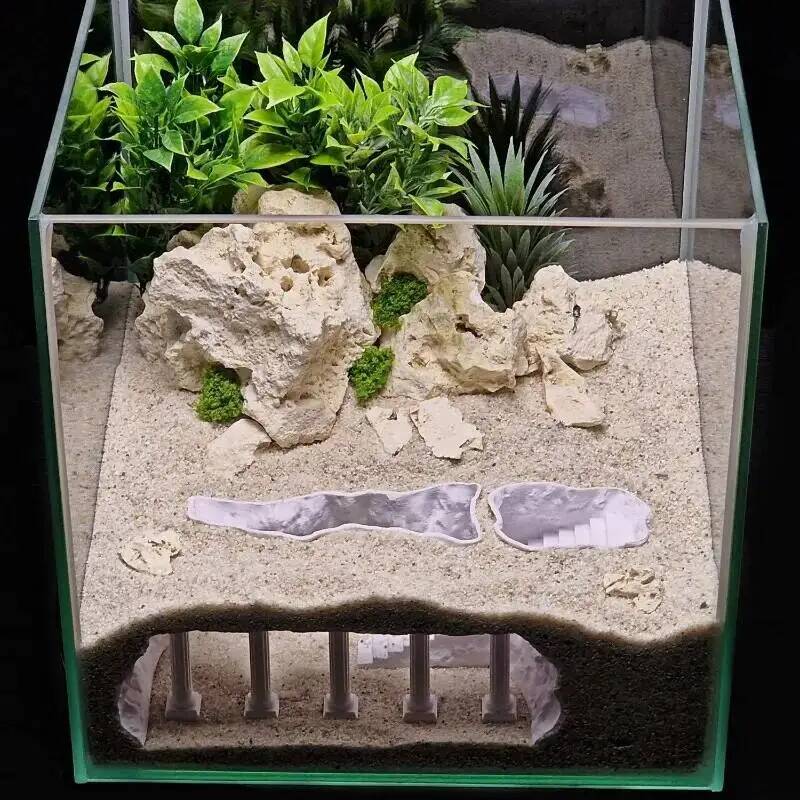 Printed Roman Natural Fish Tan - đánh giá và giá Aquarium Planet