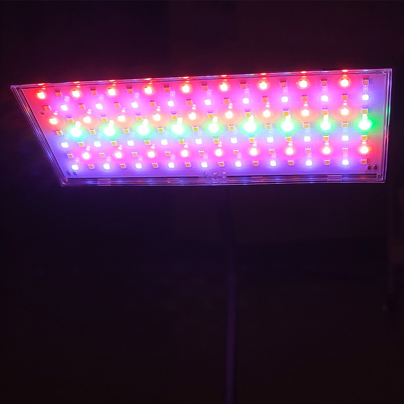 3 Light Color Adjustable Aquar - đánh giá và giá Aquarium Plant Diseases