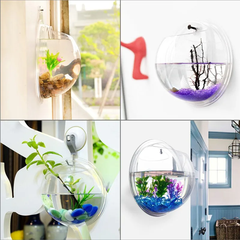 Acrylic Trong Suốt Treo Tường  - đánh giá và giá Planted Aquarium Bowl