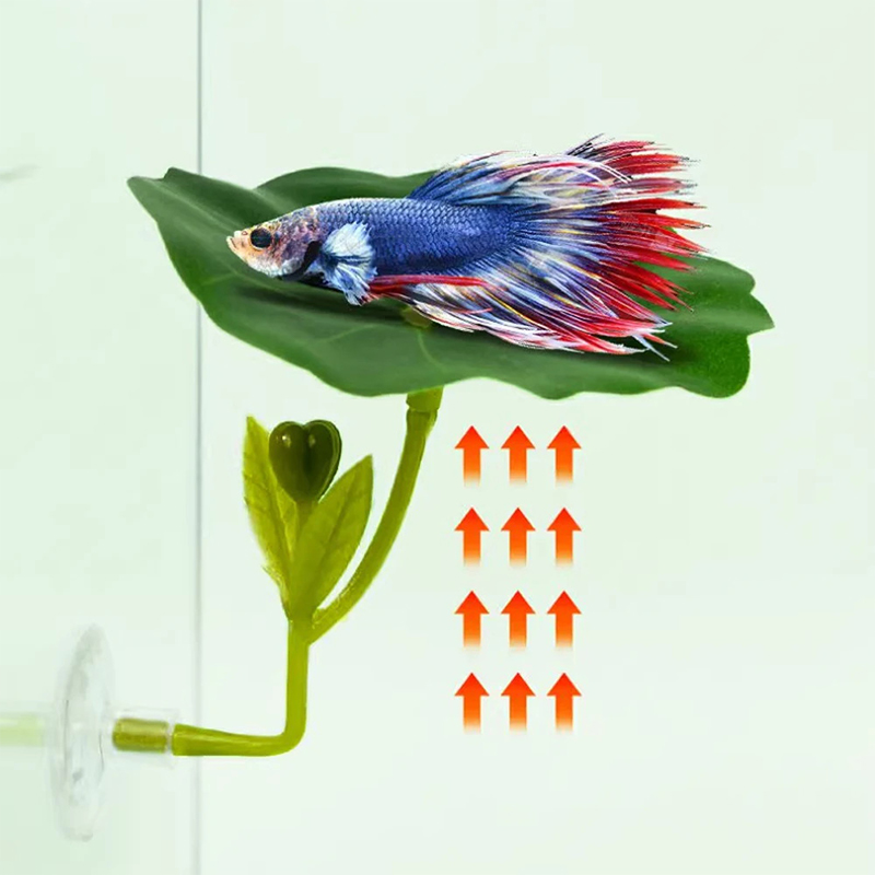 1Pc Green Leaf Hammock For Bet - đánh giá và giá Planted Aquarium For Betta