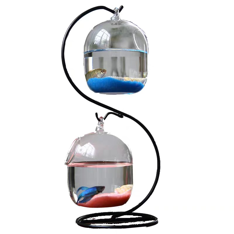 Sáng Tạo Hai Tầng Đình Chỉ Tro - đánh giá và giá Planted Aquarium Bowl