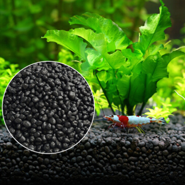 Bể Cá Cảnh Vật Có Hạt Đất Fish - đánh giá và giá Aquarium Plant Fertilizer