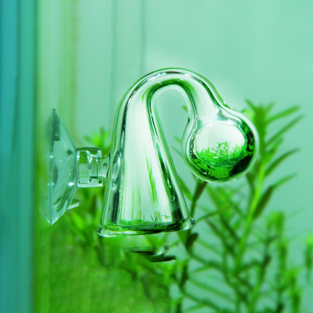 Fish Tank CO2 Diffuse Glass Dr - đánh giá và giá Planted Aquarium Parameters