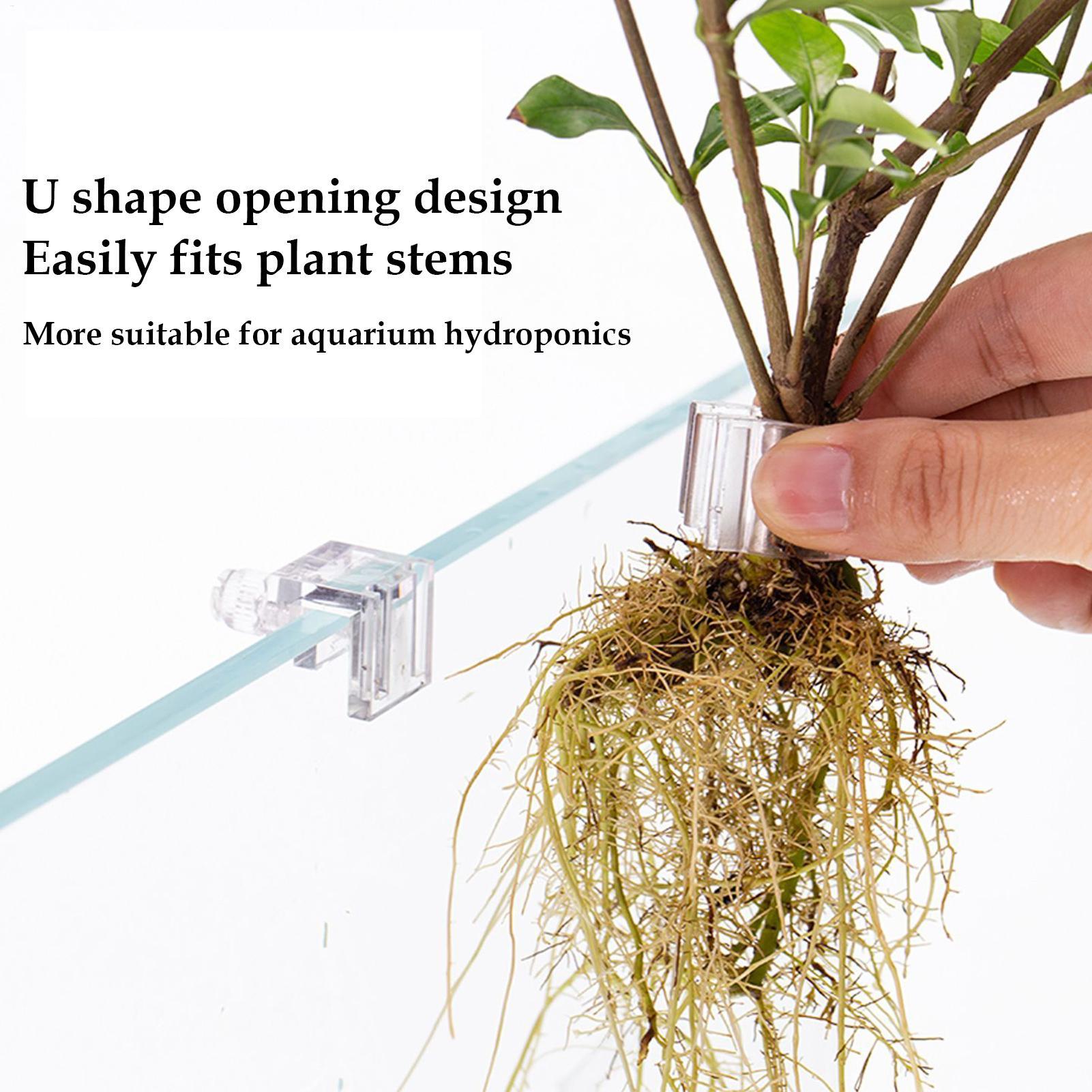 Fish Tank Plant Holder 6 Piece - đánh giá và giá Aquarium Plant Diseases