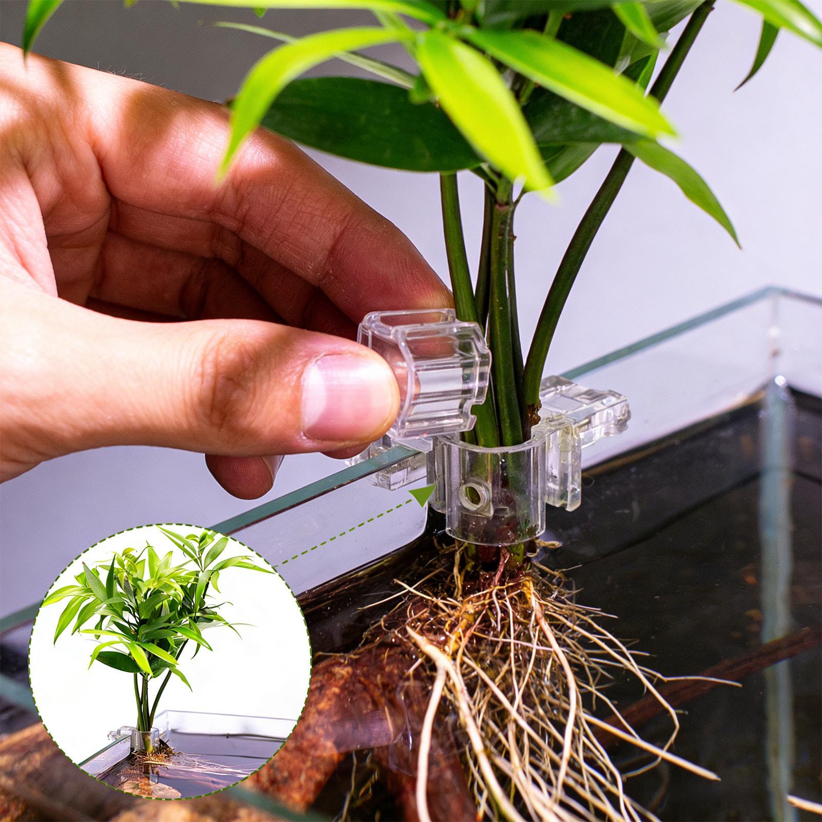 Fish Tank Plant Holder 6 Piece - đánh giá và giá Aquarium Plant Diseases