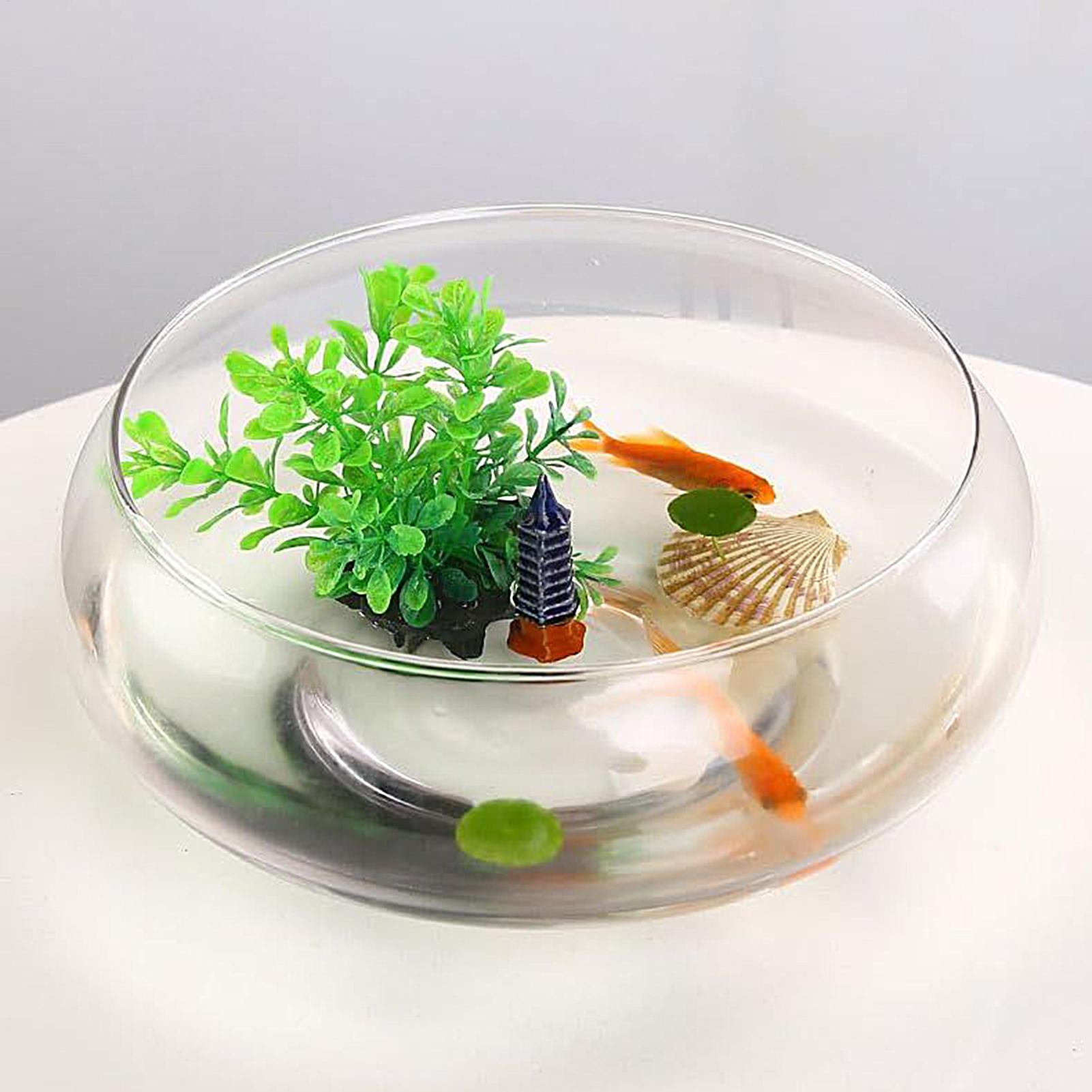 Fish Glass Bowl Glass Large Hy - đánh giá và giá Planted Aquarium Bowl