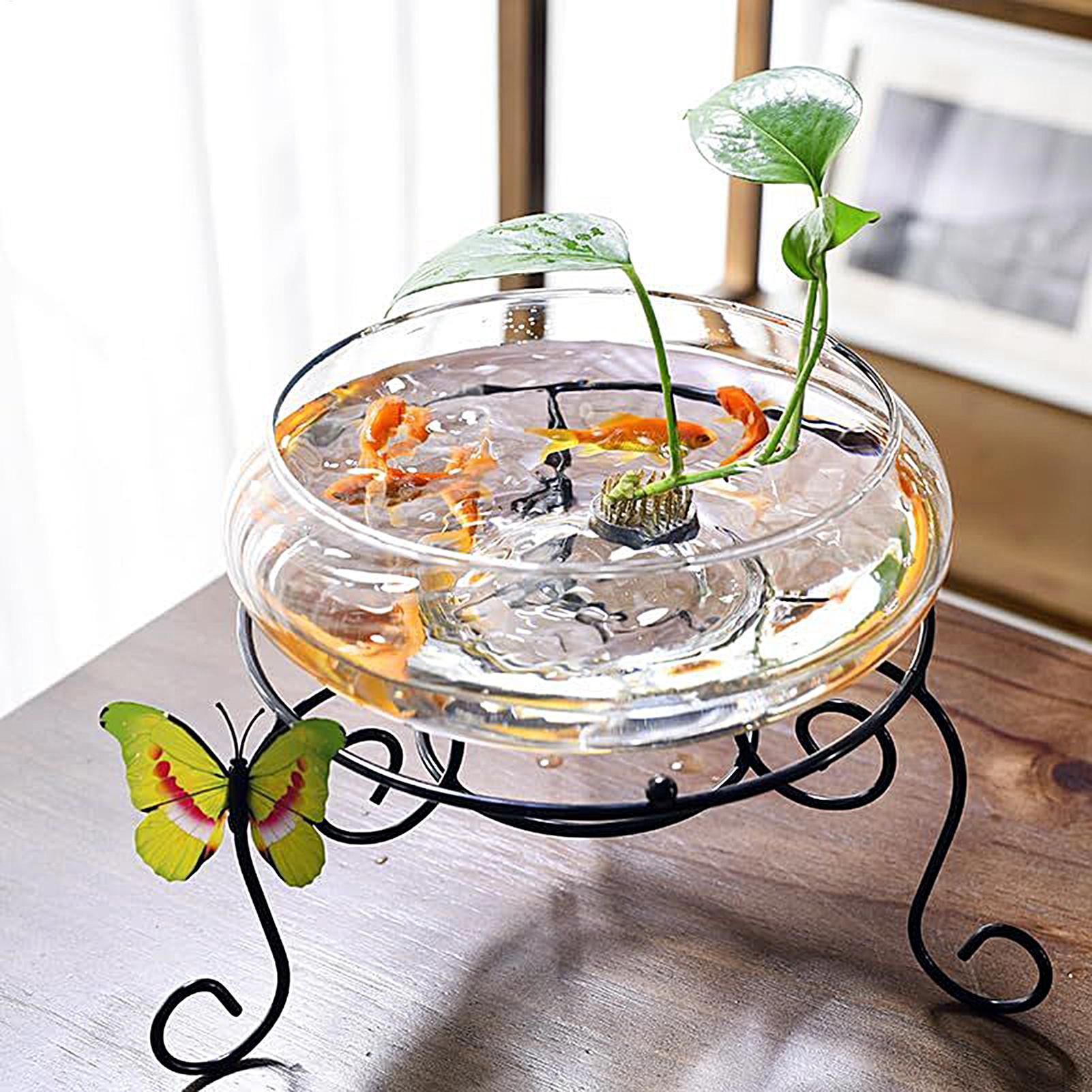Fish Glass Bowl Glass Large Hy - đánh giá và giá Planted Aquarium Bowl