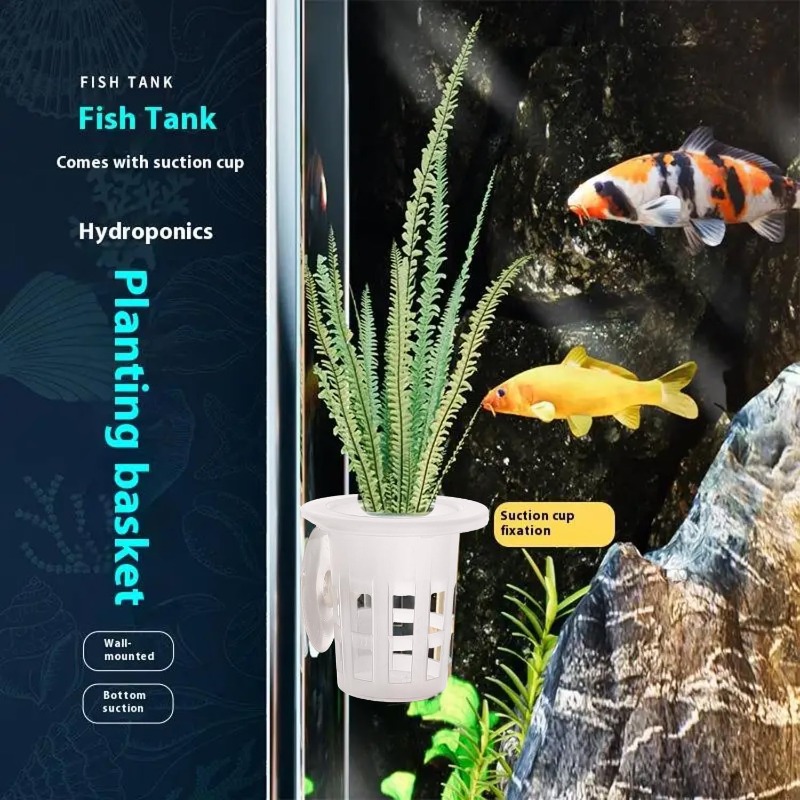 10/20/30Pcs Plastic Aquarium P - đánh giá và giá Aquarium Plant Diseases