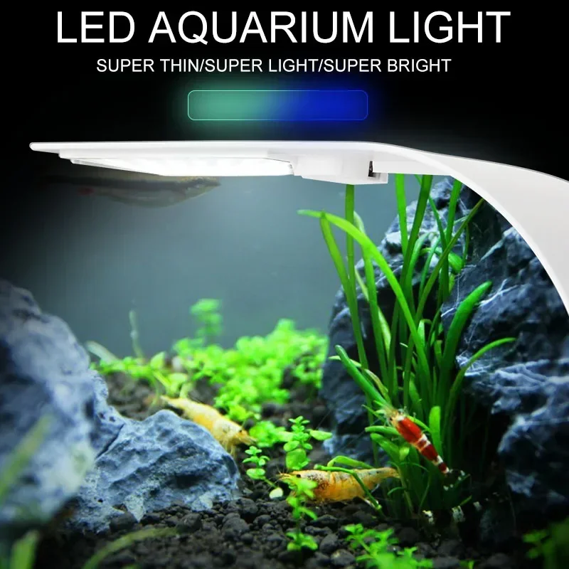 Ultra Thin LED Aquarium Light  - đánh giá và giá Aquarium Plant Diseases