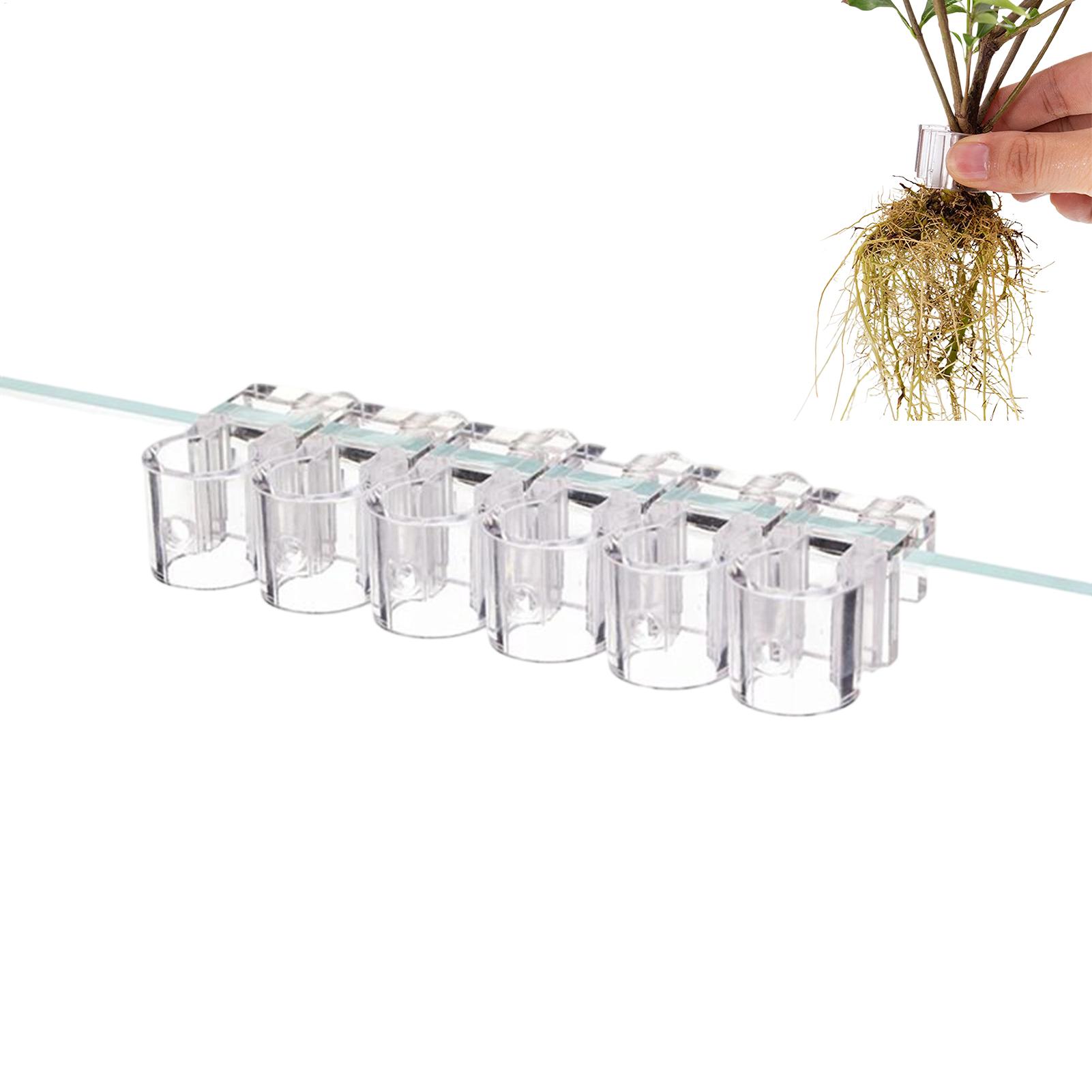 Plant Holder For Aquarium 6 Pi - đánh giá và giá Aquarium Plant Diseases