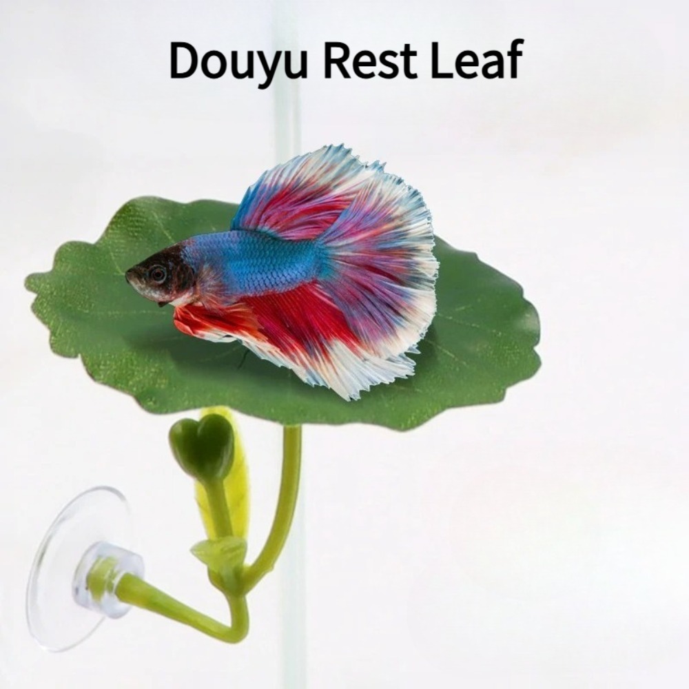 1PCS Green Leaf Betta Fish Ham - đánh giá và giá Planted Aquarium For Betta