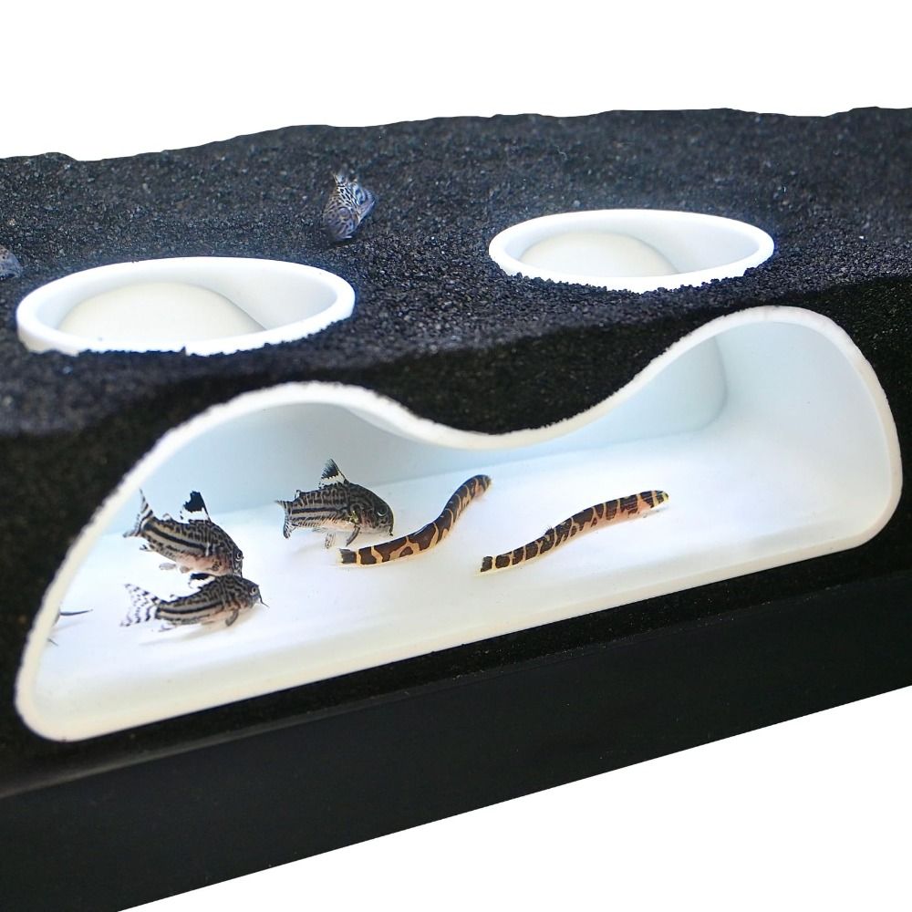 Multifunctional Aquarium Under - đánh giá và giá Aquarium Planet
