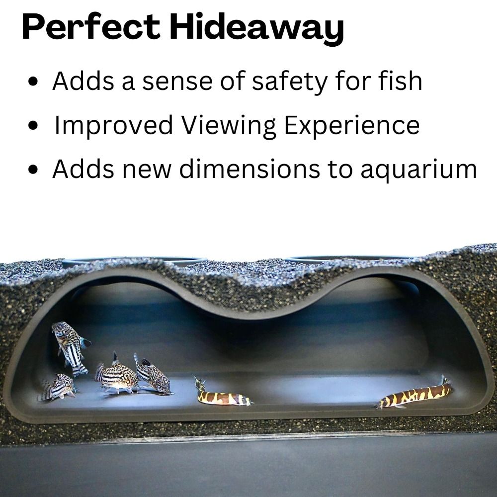 Multifunctional Aquarium Under - đánh giá và giá Aquarium Planet