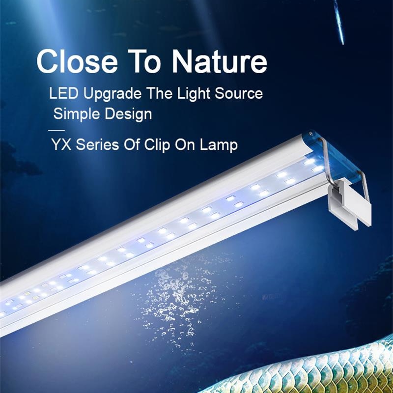 Mở rộng không thấm nước Clip t - đánh giá và giá Aquarium Plant Iron