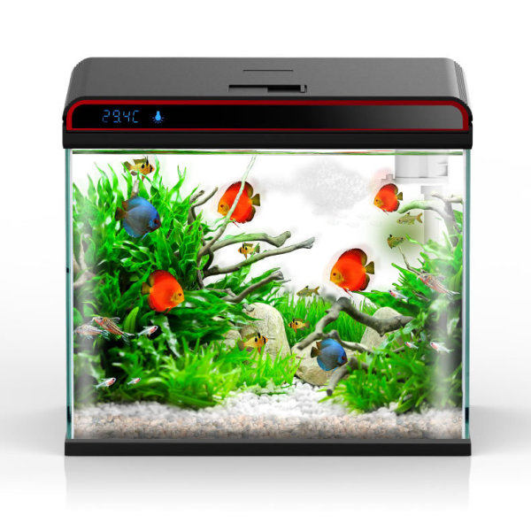 Sunsun 4-in-1 Aquarium Water C - đánh giá và giá Planted Aquarium Ph