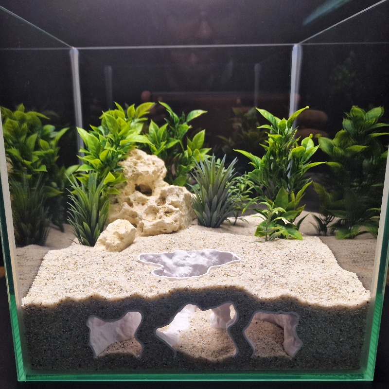 Eco-Friendly Aquarium Ornament - đánh giá và giá Aquarium Planet