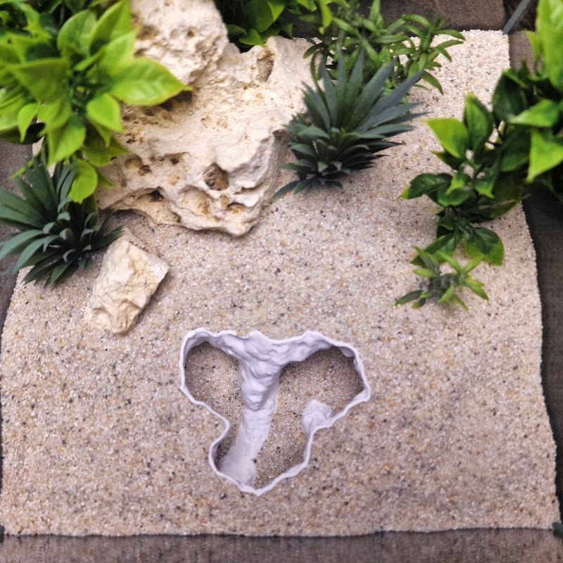 Eco-Friendly Aquarium Ornament - đánh giá và giá Aquarium Planet