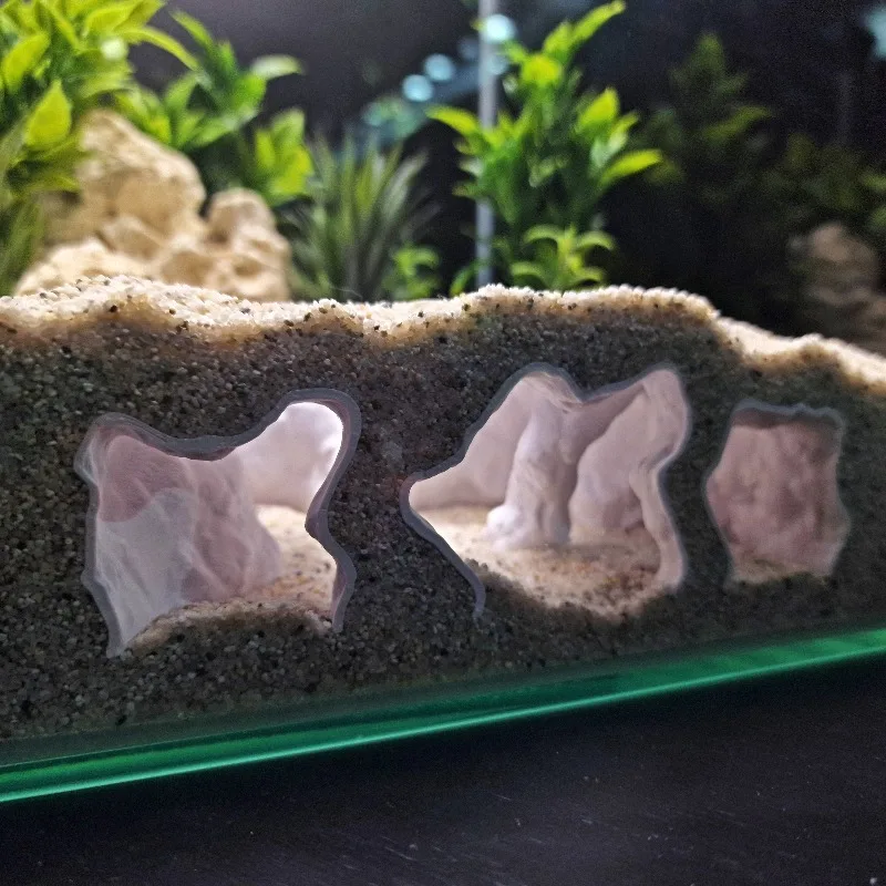 Eco-Friendly Aquarium Ornament - đánh giá và giá Aquarium Planet