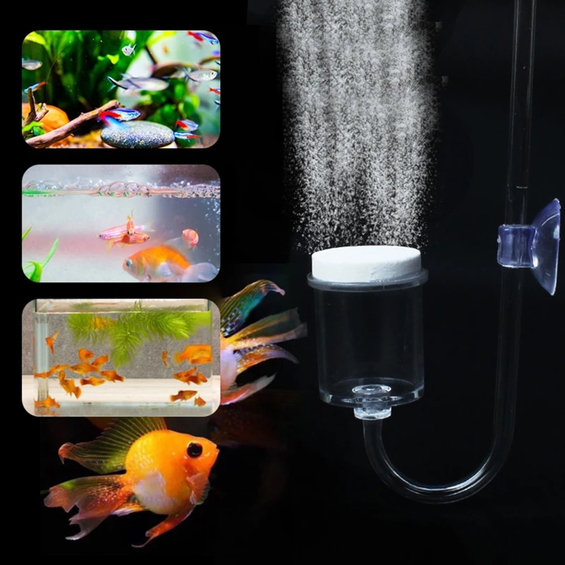 4pcs Set DIY CO2 Diffuser For  - đánh giá và giá Planted Aquarium Parameters